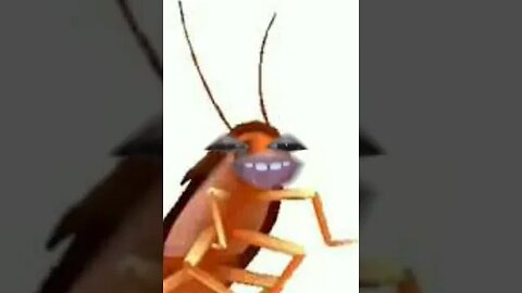 27 de dezembro de 2022