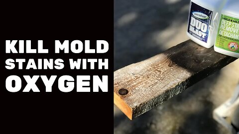 Kill Mold Stains with Oxygen