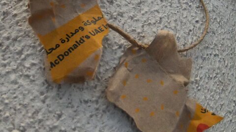 McDonald's INJURED ED SHEERAN - Homeless cat in Ras Al Khaimah, UAE #McDonalds #cat #cats #EdSheeran