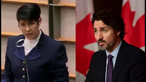EU Parliament Member Christine Anderson Delivers a HUGE Smack Down on Justin Trudeau