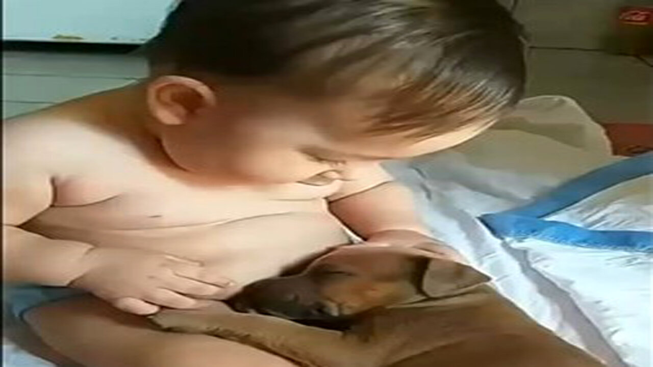 Incredible Bond Between Baby And Dog ! Watch Their Sweet Moments!