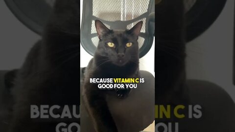 Send to someone that needs to eat healthier🍊 #cat #blackcat #leonthecatdad #relationship #healthy