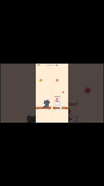 Bear Man Duet Cat #shorts #music #cat