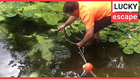 Teachers call in pest control to flush out snake