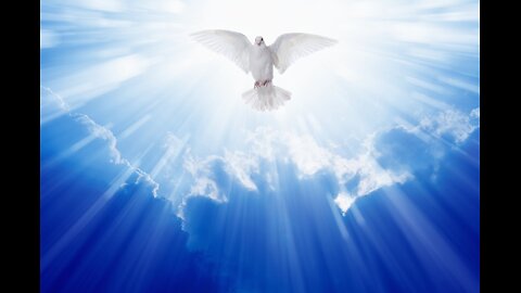 Hello Holy Spirit: Insights from 1,200 Bible Verses