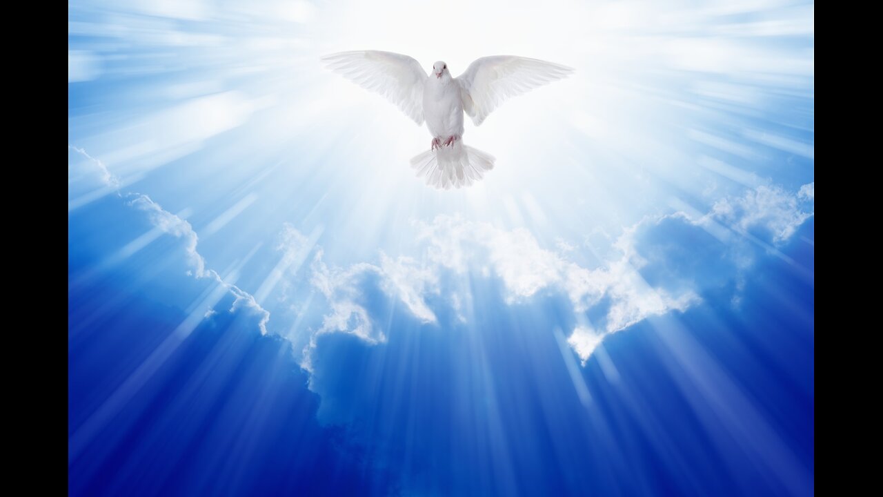 Hello Holy Spirit: Insights from 1,200 Bible Verses