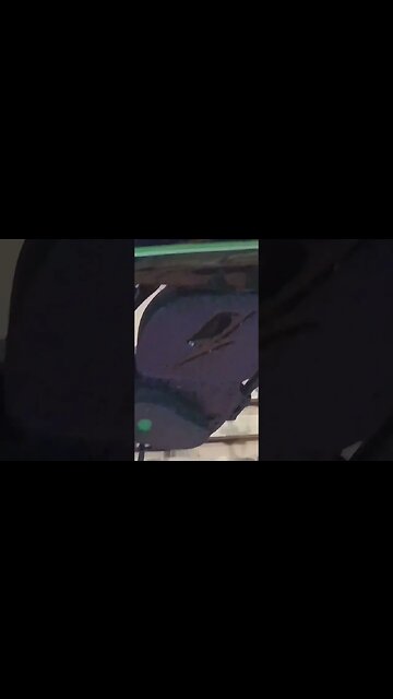 Moto eletrica animal!!!!