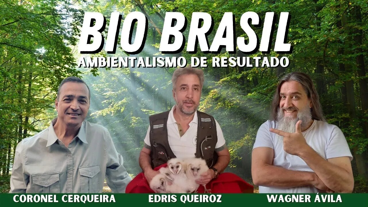 CRAS - A IMPORTÂNCIA DA REABILITAÇÃO DE ANIMAIS SILVESTRES