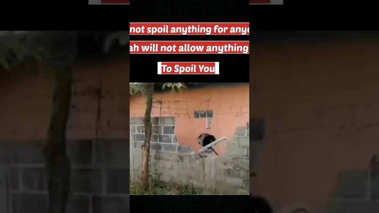 Do Not Spoil Anything For Anyone #ytshorts #trending #viral #youtubeshorts