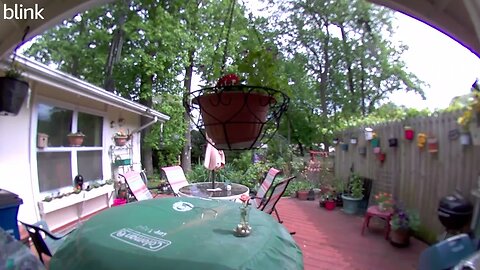 SOUTH_VIDEO_DOOR_BELL_2023-05-04T15_13_51-0400.mp4