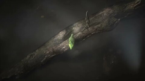 METAL GEAR SOLID Δ SNAKE EATER Reveal Trailer - PlayStation Showcase 2023