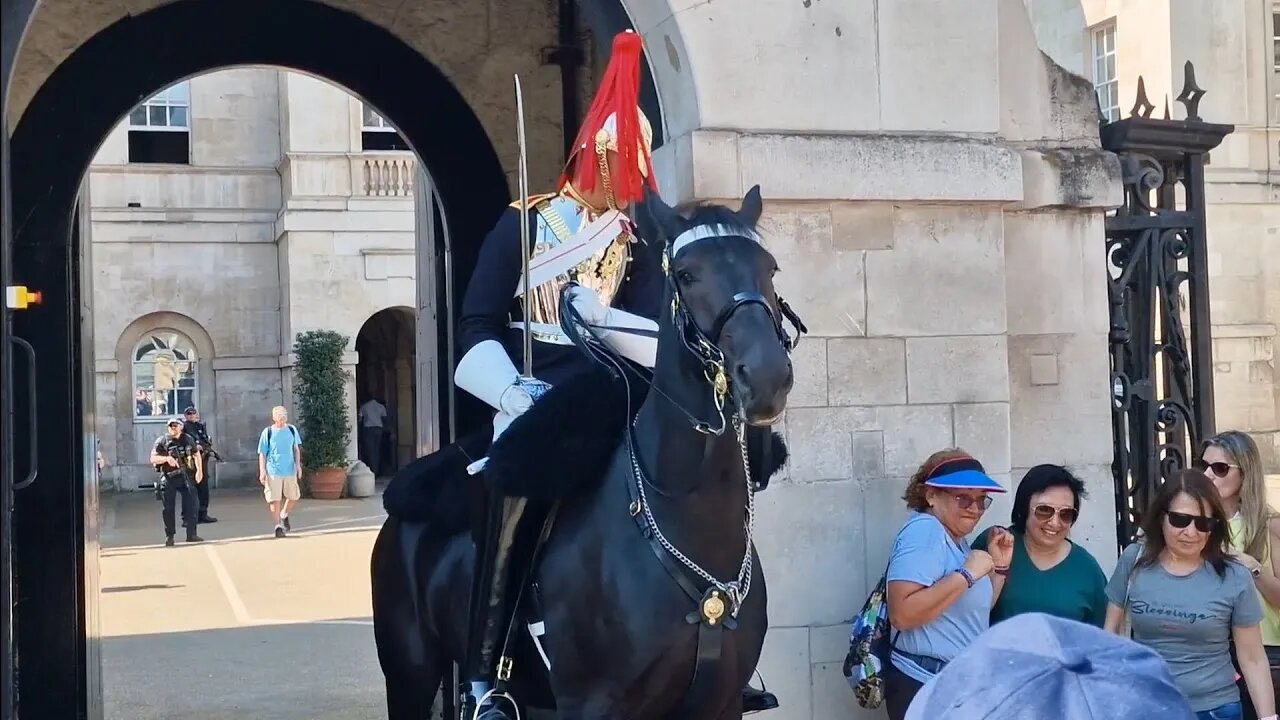 Move back move back move back from the King's life guard he shouts 3 times at tourist not listening