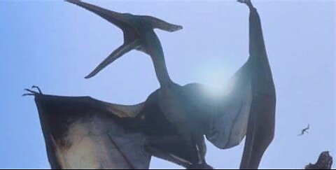 Pterodactyl Reported Flying south of Monterey, California