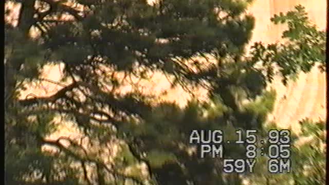 1993 Camping with Grandchildren