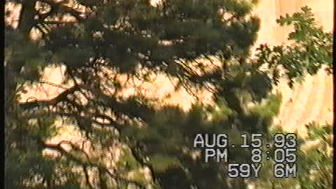 1993 Camping with Grandchildren
