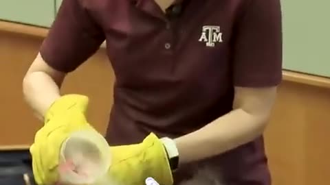 A teacher like this is awesome...