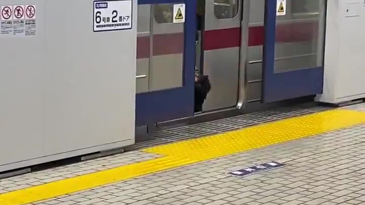 Bro Almost Got on the Train