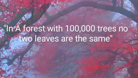 Beautiful Quote from Nature