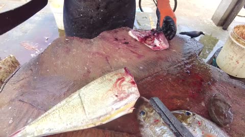 Amazing Fish Cutting Skills (1)