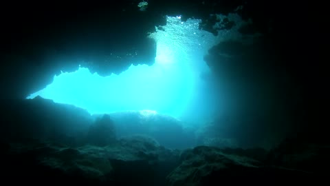 The Blue Room at Sharks Cove