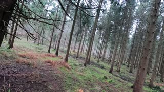 GoPro. Using the Insta 360 selfie stick to mimic a drone shot .