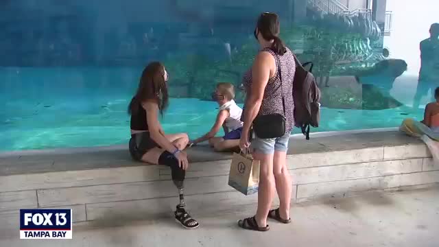 Remembering Winter- Star of 'Dolphin Tale' dies at 16_Cut