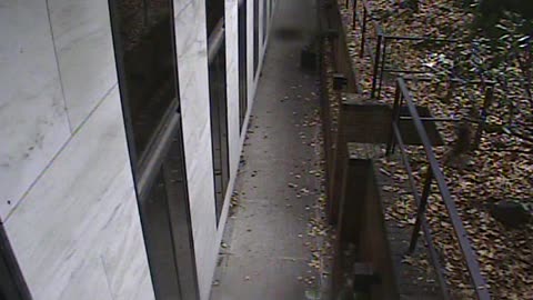 1457HSOB01GroundSoutheast_2021-01-06_10h12min48s500ms.mp4