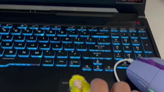 Who Needs A Computer Mouse When You Have A Parrot?