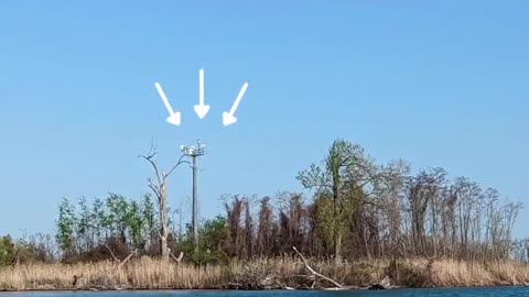 AN ANTHONY BEAR DISTANCE TEST OVER A FLAT EARTH
