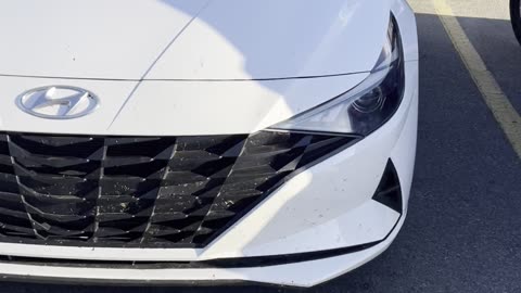 Twins WHITE Hyundai CAR