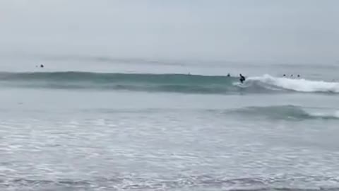 Riding the tsunami waves in Mexico