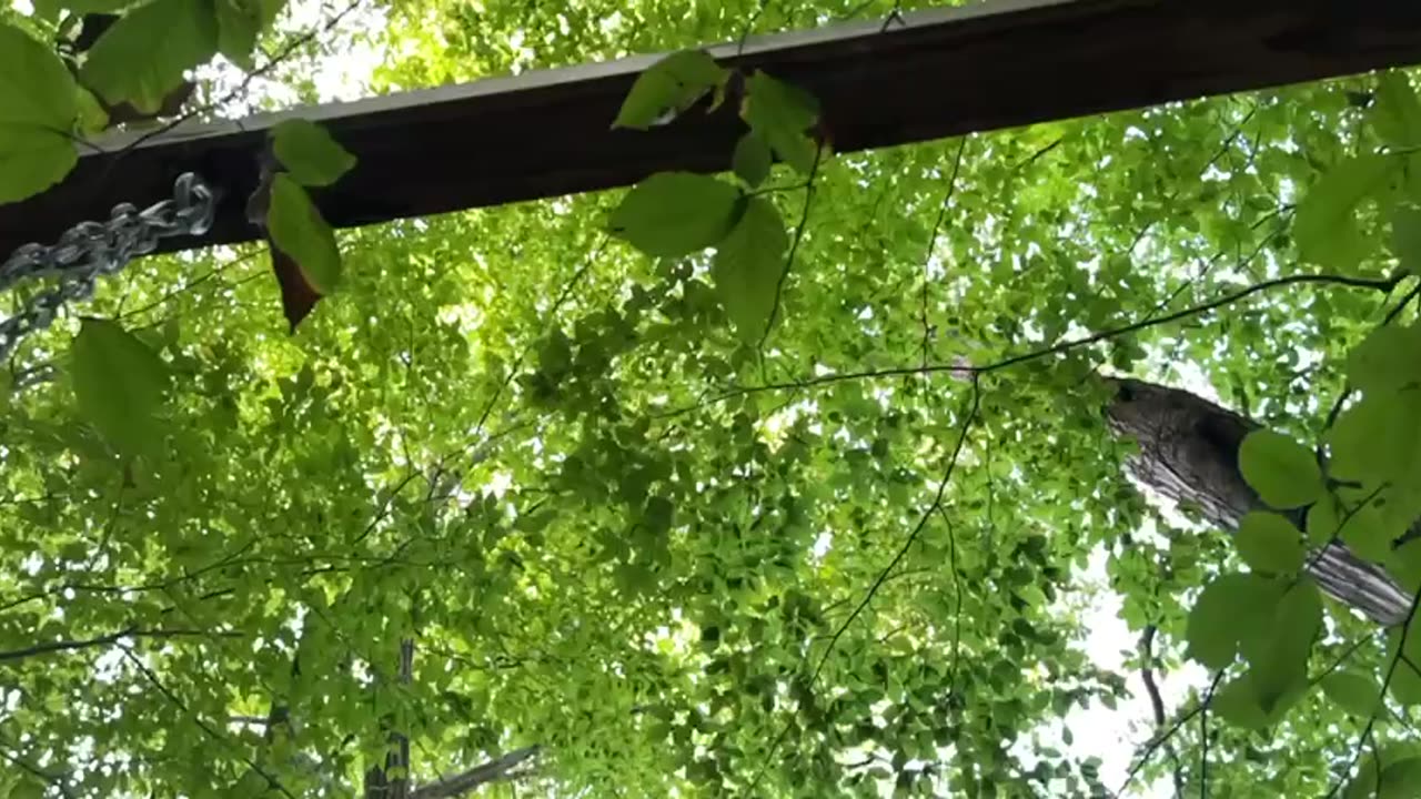 Ominous B-Roll