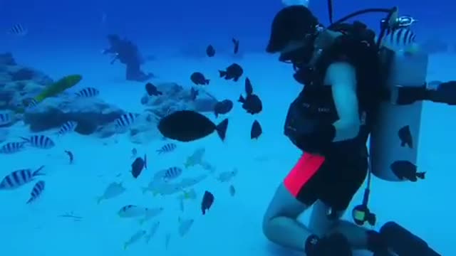 Immersion in water to a depth of 20 meters