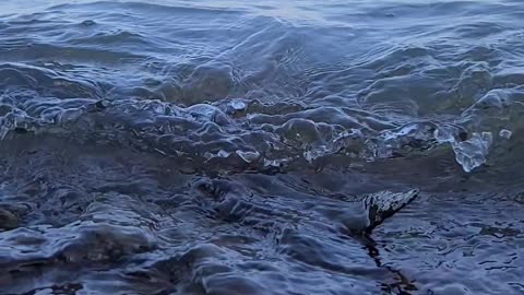 Tana lake