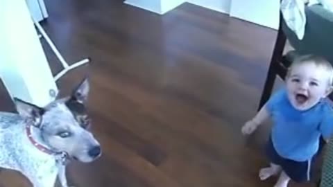 Baby And Dog, Dogs Training, Cute And Funny Baby Laughing Videos