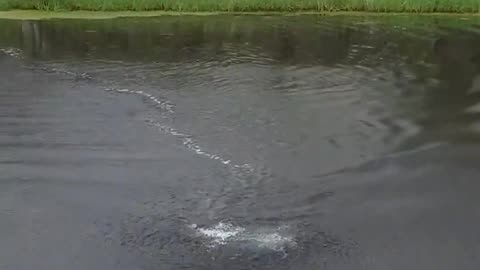 Out-of-Nowhere Waterspout || Viral Verse