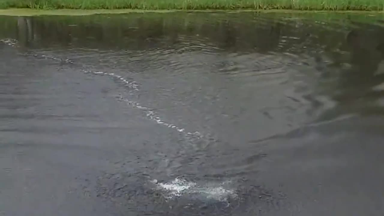 Out-of-Nowhere Waterspout || Viral Verse