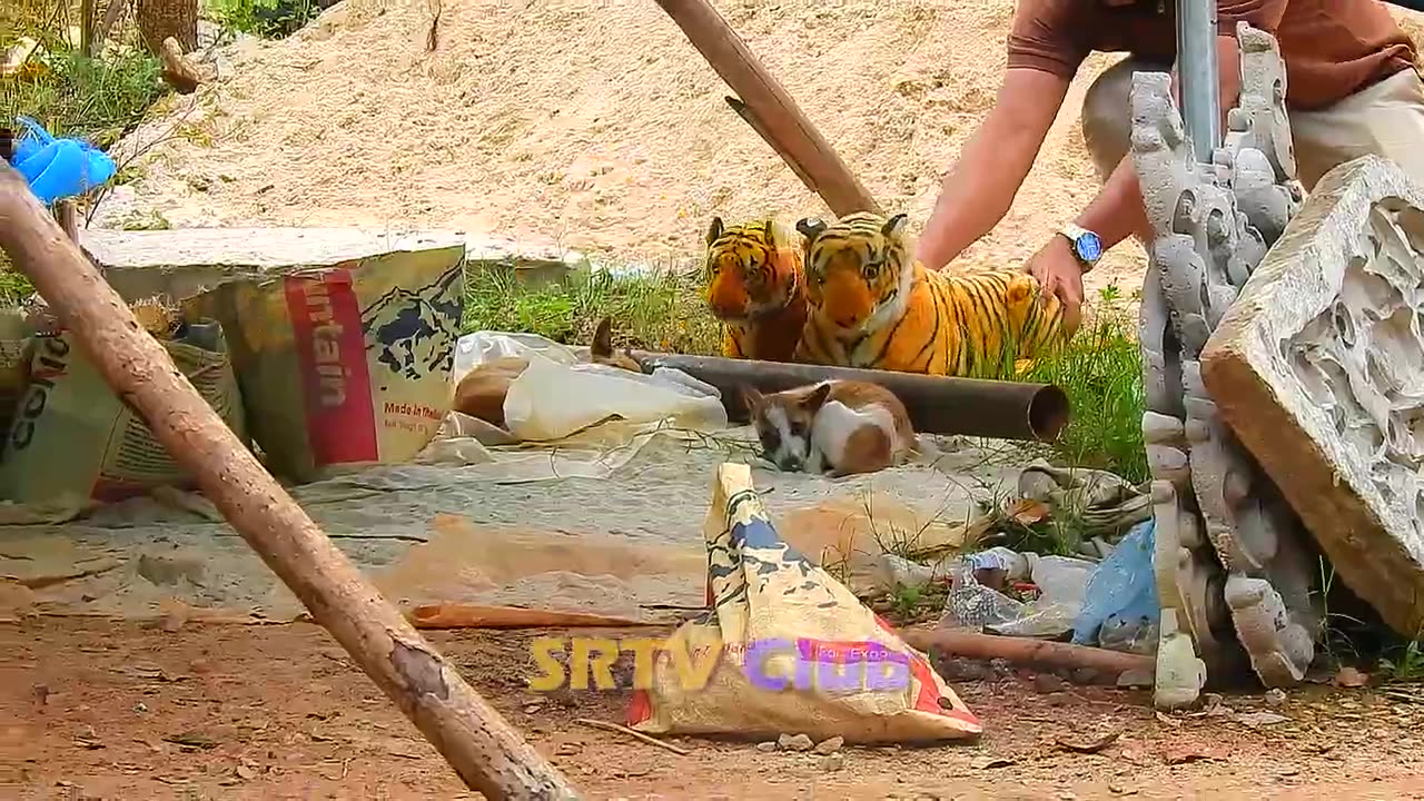 Fake Tiger Prank on Dog - Can You Handle the Laughter?