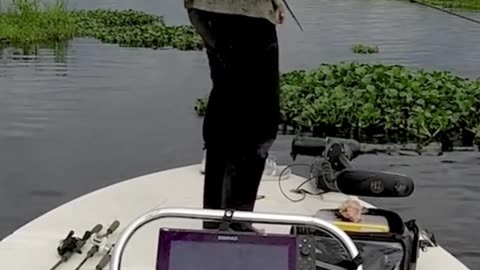 Crazy and Funny Videos!