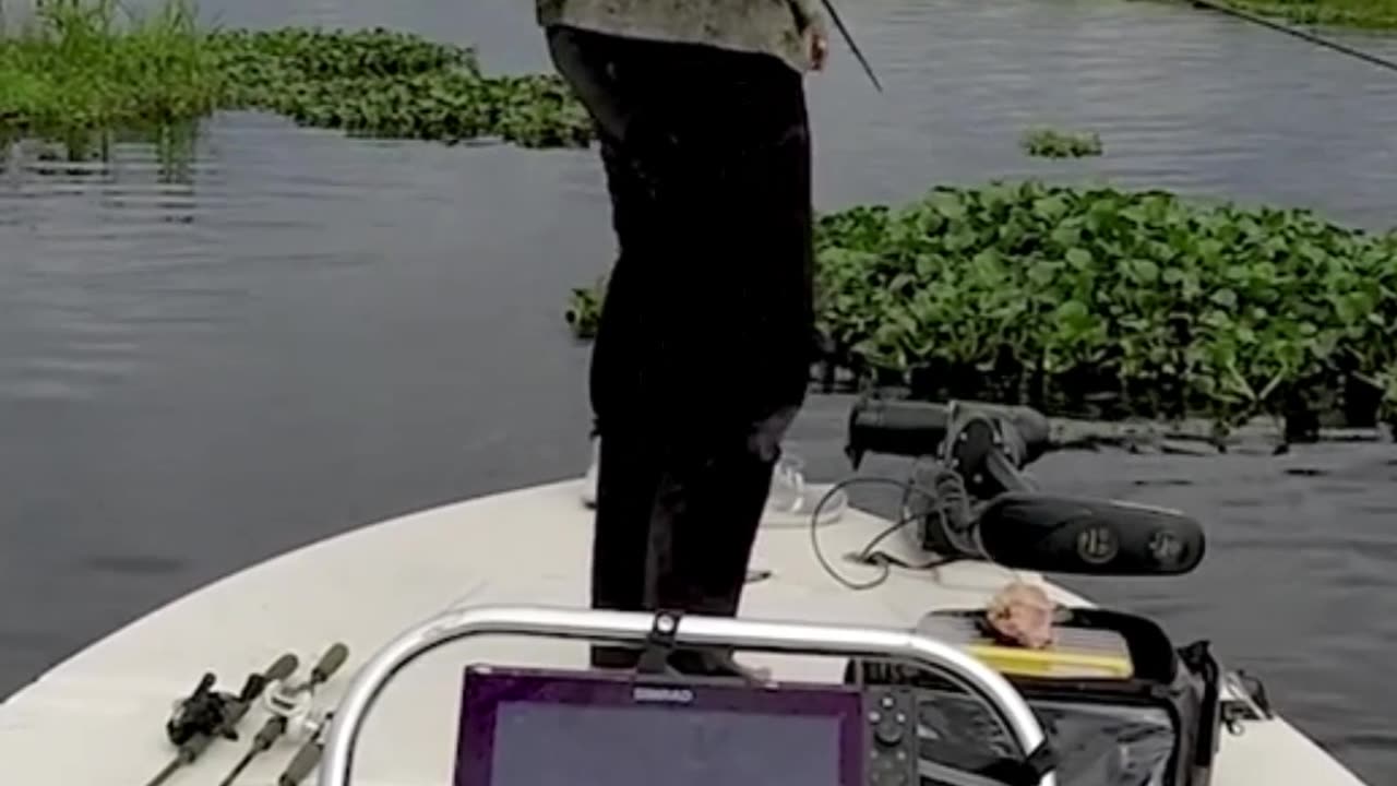 Crazy and Funny Videos!