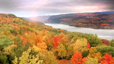 Enchanting Autumn Forests with Beautiful Piano Music
