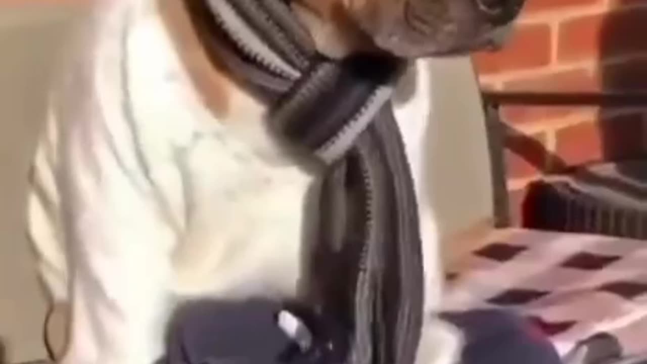 FUNNY LAUGHING FAIL COMPILATION VIDEOS 2024