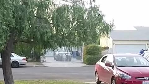 Exploding Package Prank