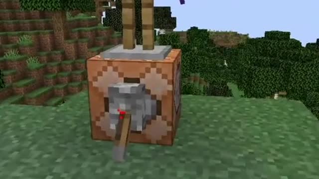 Get most illegal item 😱😳