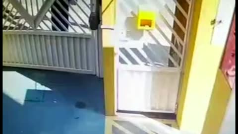 A liberdade ampla e restrita é para todos, qual é a tua opinião?