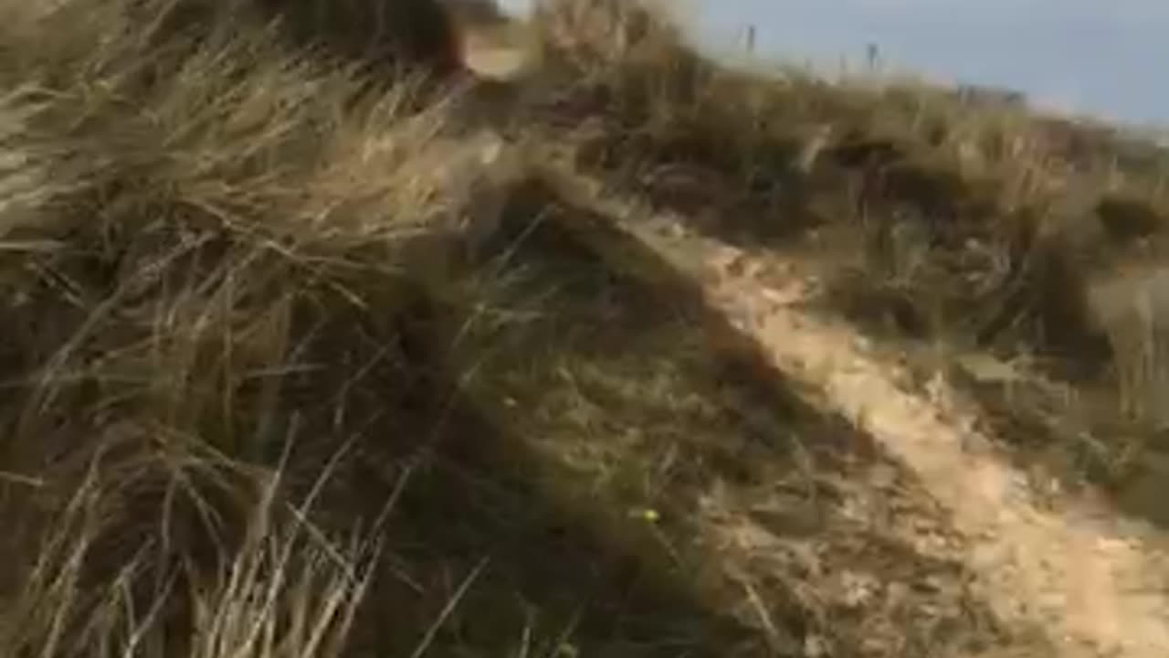 DINAR 3.71 .... DONG 2.45 ..... NESARA GESARA IS A CON