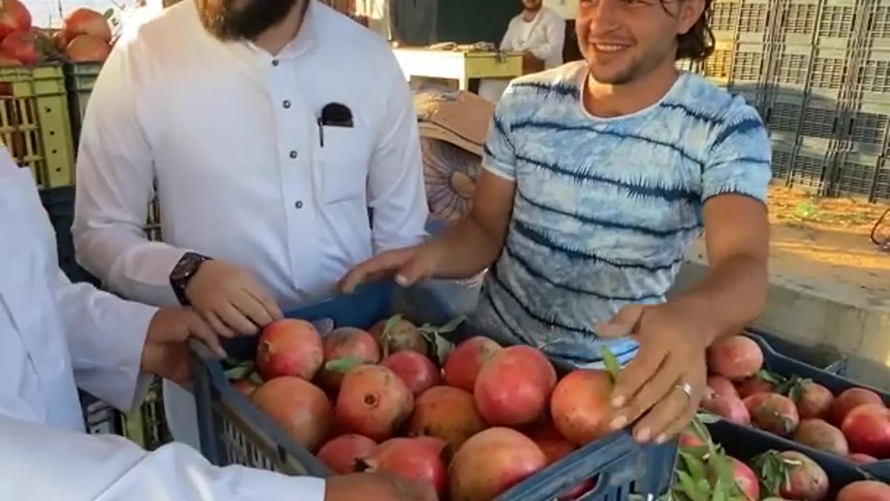 جمال الصوت ولا جمال الفاكهة 😁!!