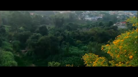 Short cinematic film 📽️ using an android smartphone