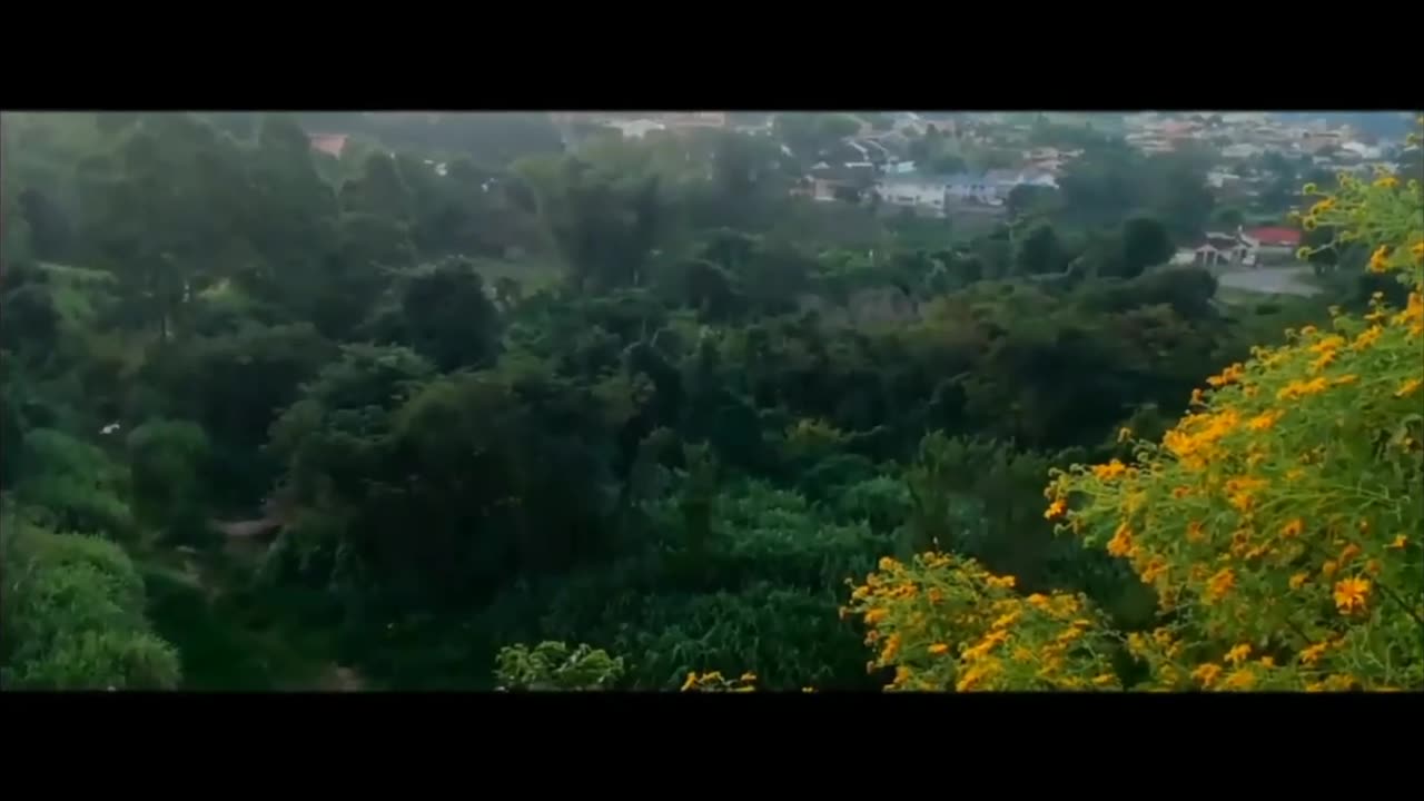 Short cinematic film 📽️ using an android smartphone