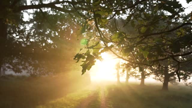 beautiful sunrise